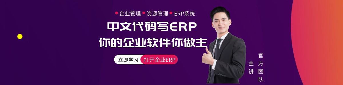 企业级ERP中文编程实战课